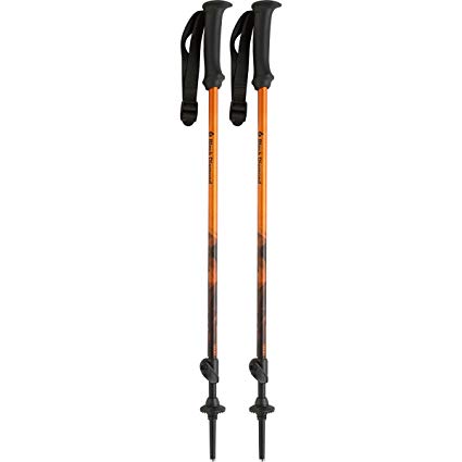 Black Diamond Youth First Strike Trekking Poles