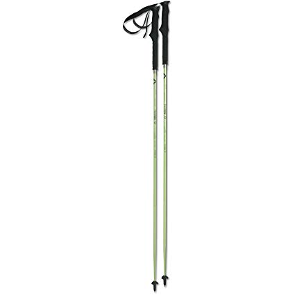 Helinox Passport Twist Lock FL Trekking Pole - Pair