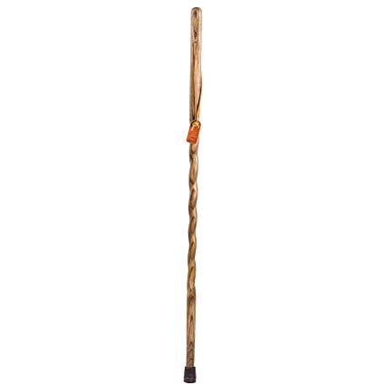 Twisted Oak Walking Stick - 55