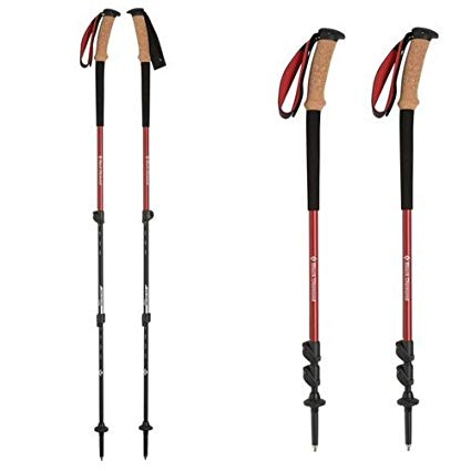 Trail Ergo Cork Trekking Poles