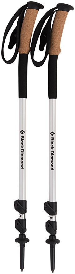 Alpine Ergo Cork Trekking Poles